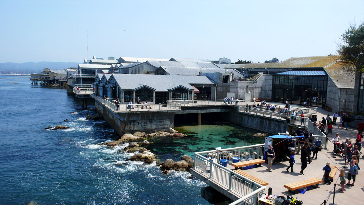 A photo showing the back of the Monterey Bay Aquarium, where they have a tide pool. Hills can be seen in the background, as the bay is well south of the city.